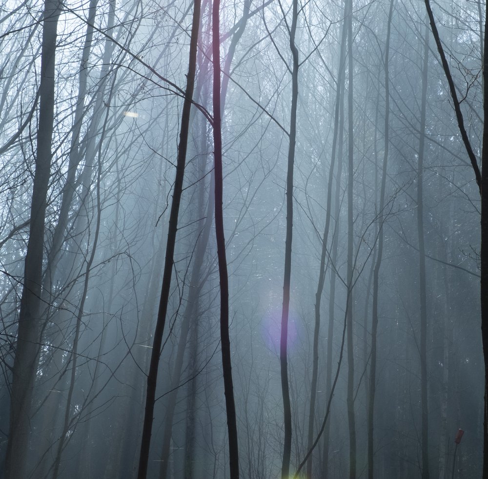 Photograph by Sandra