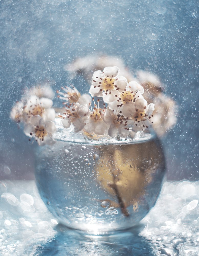 Photograph by Ольга Литвинова