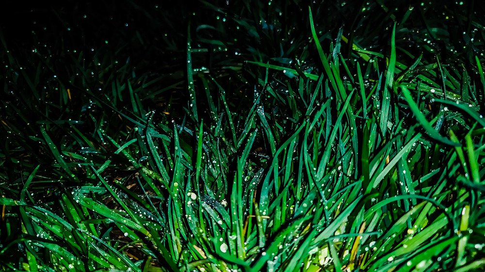 Photograph by Любовь Осипова