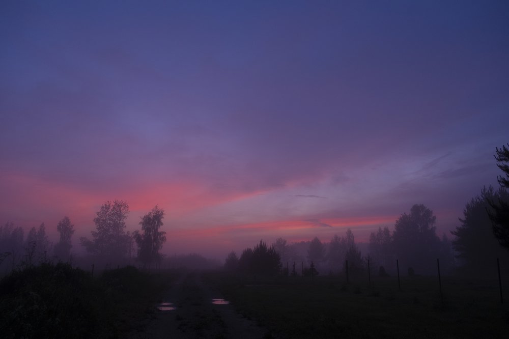 Photograph by Sandra