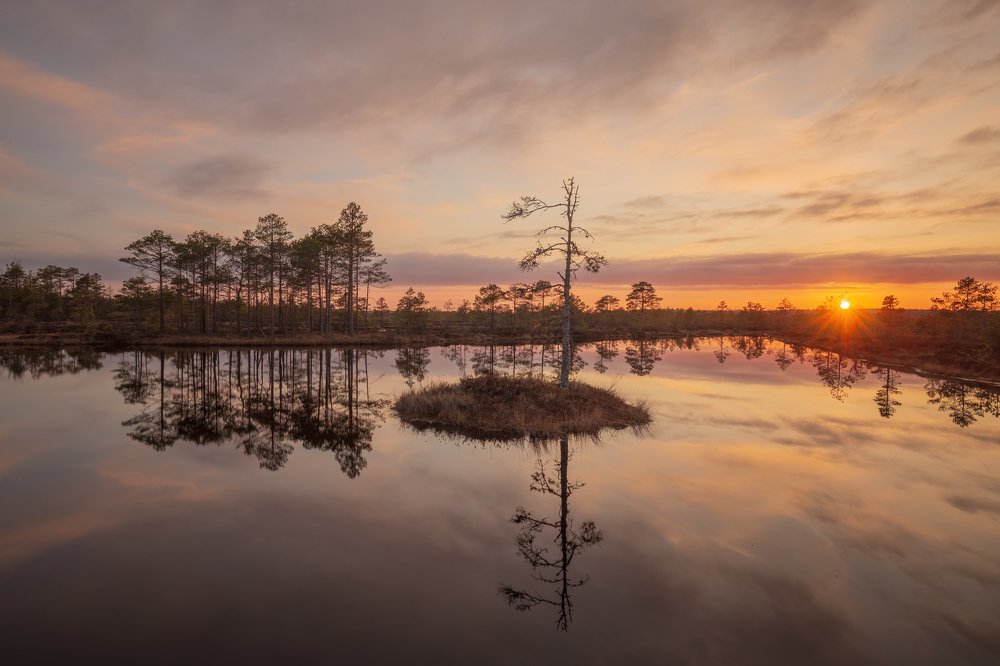 Photograph by Элвис Антсон