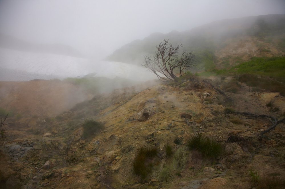 Photograph by Анастасия Тупицына