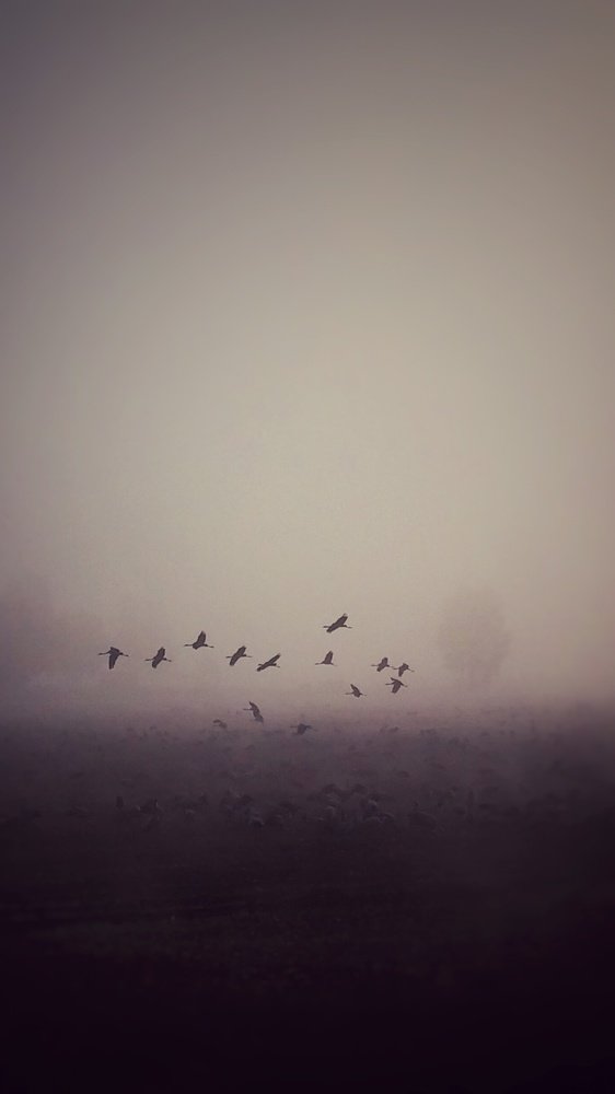 Photograph by Kobbie Pessach