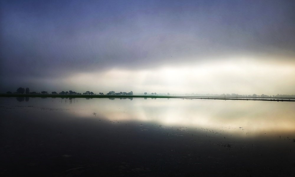 Photograph by Kobbie Pessach