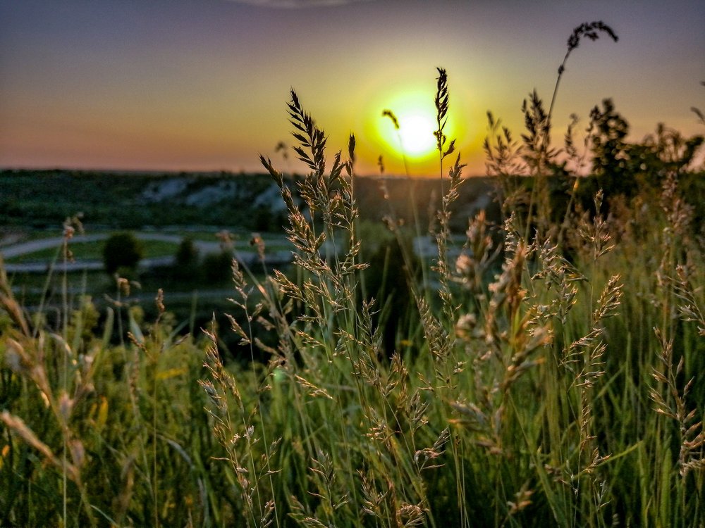 Photograph by Михаил Черкашин