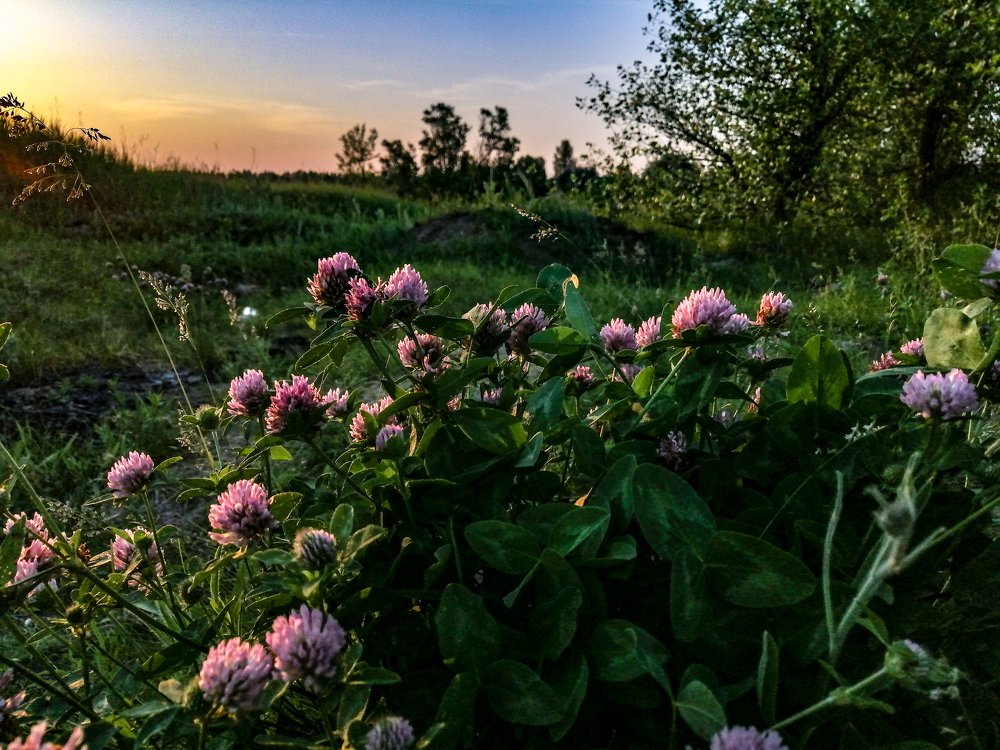 Photograph by Михаил Черкашин