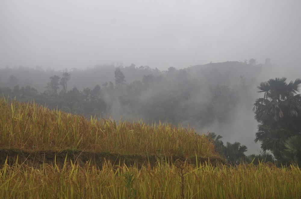 Photograph by stefanini alexis