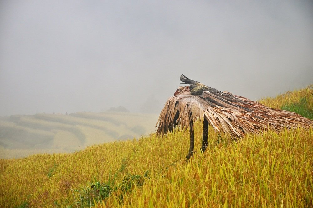 Photograph by stefanini alexis