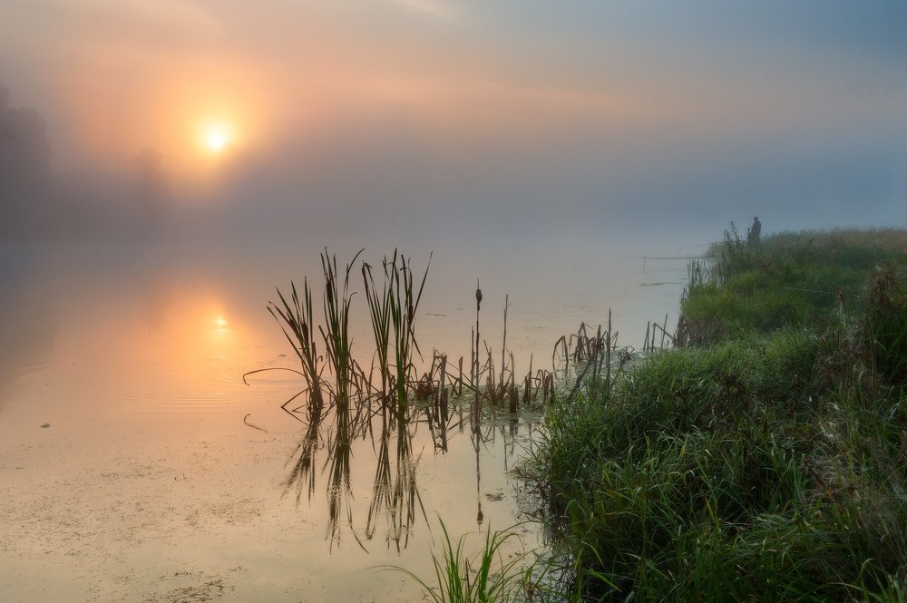 На утренней зорьке