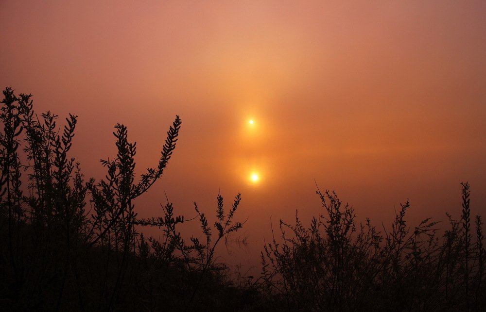 Photograph by Inga Dreger