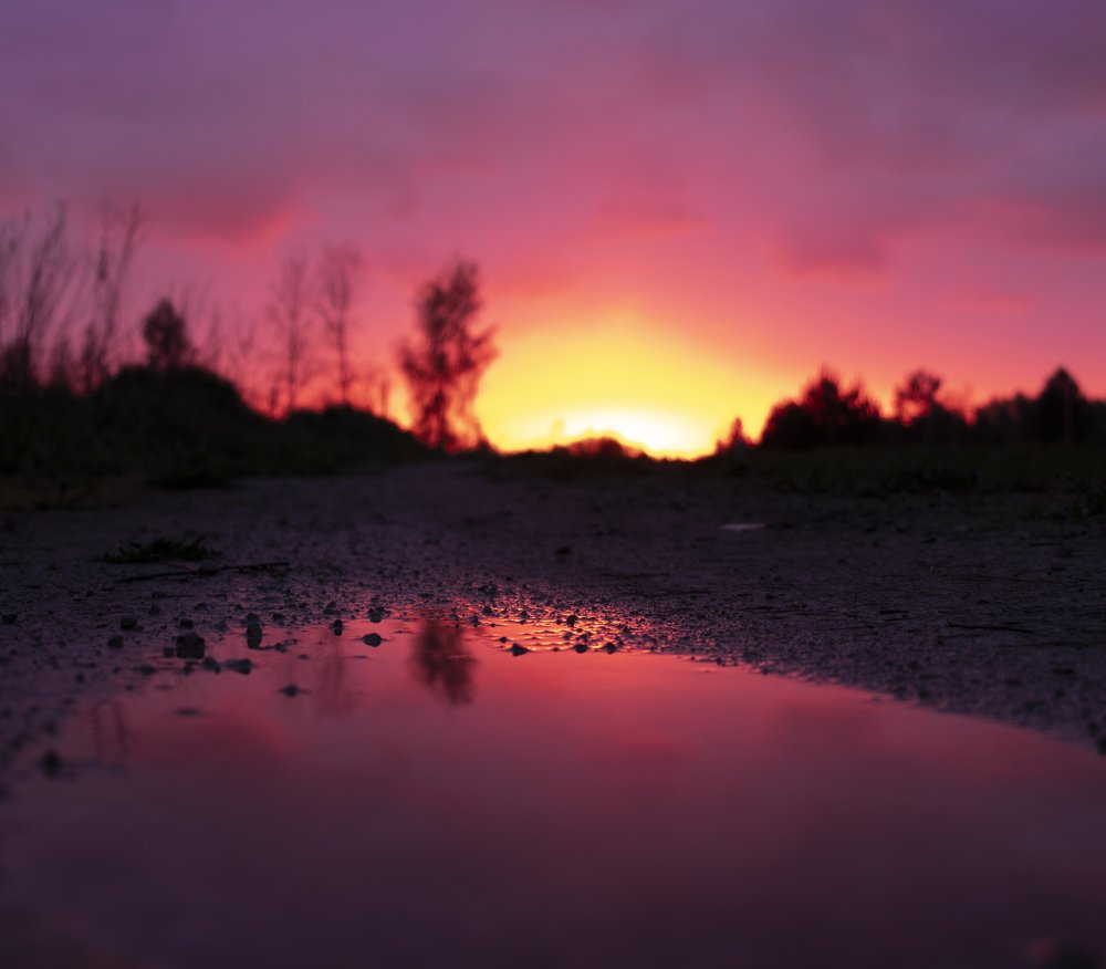 Photograph by Sandra