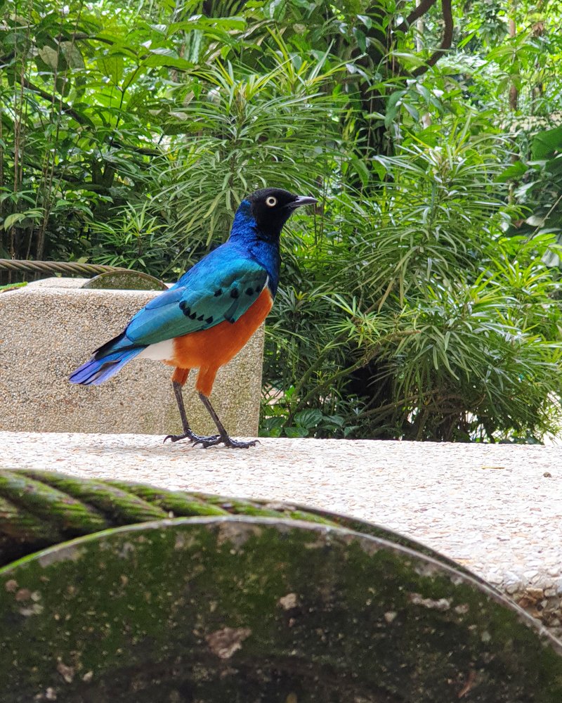 Photograph by Татьяна Лышенко