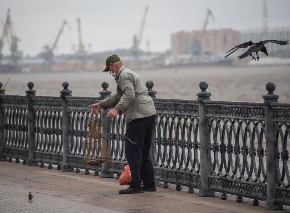 Фотография автора Дмитрий Дадонкин