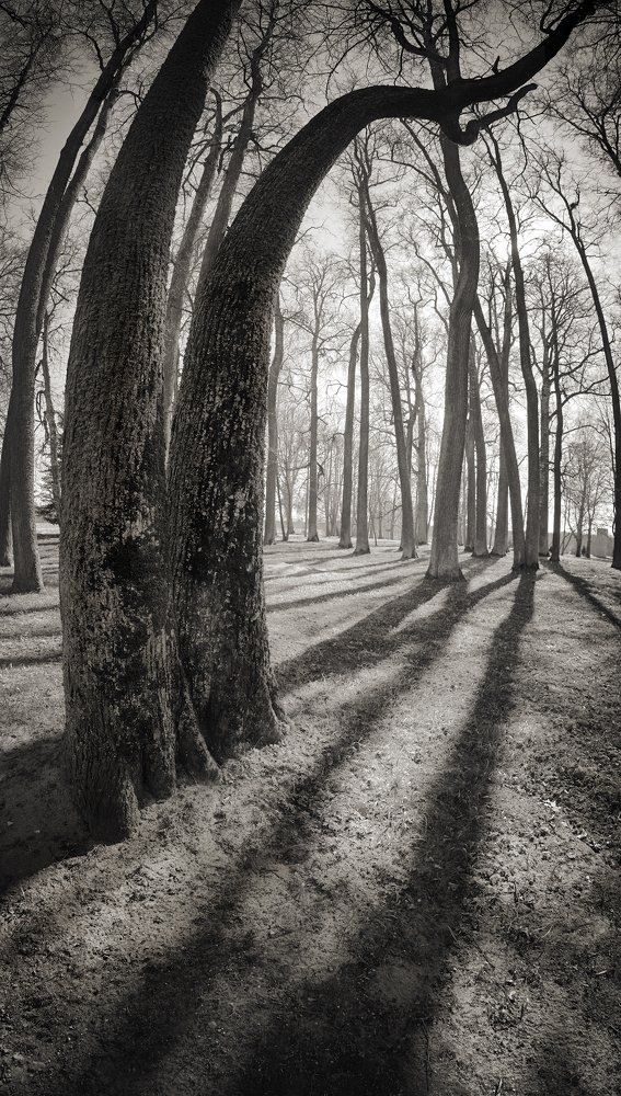 Photograph by Juris Buklovskis