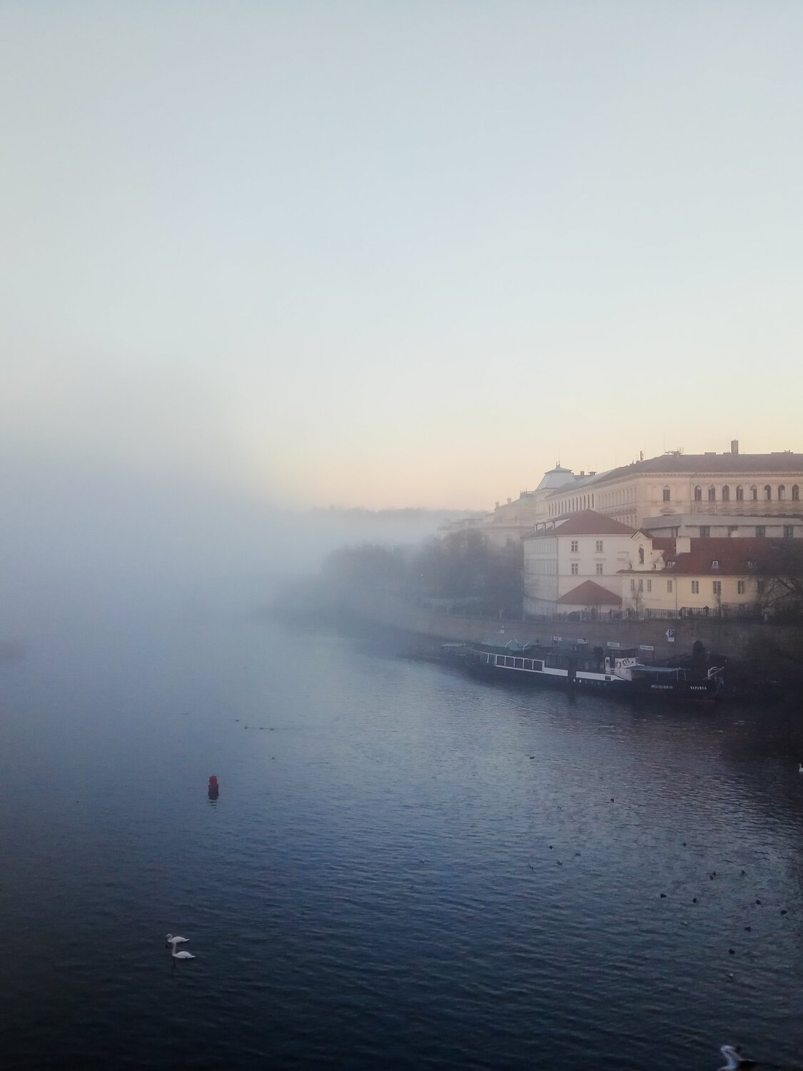 Photo #4657687