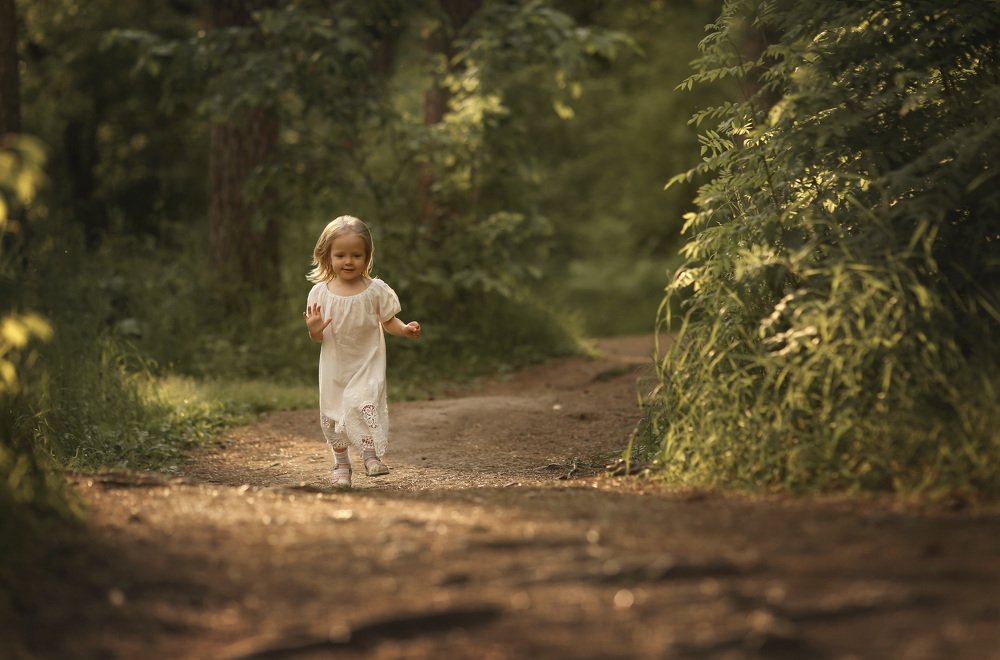 Лесная тропа