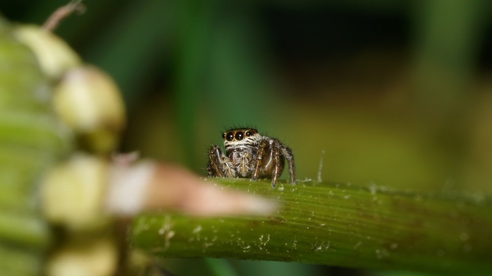 Photograph by Андрей Шартов