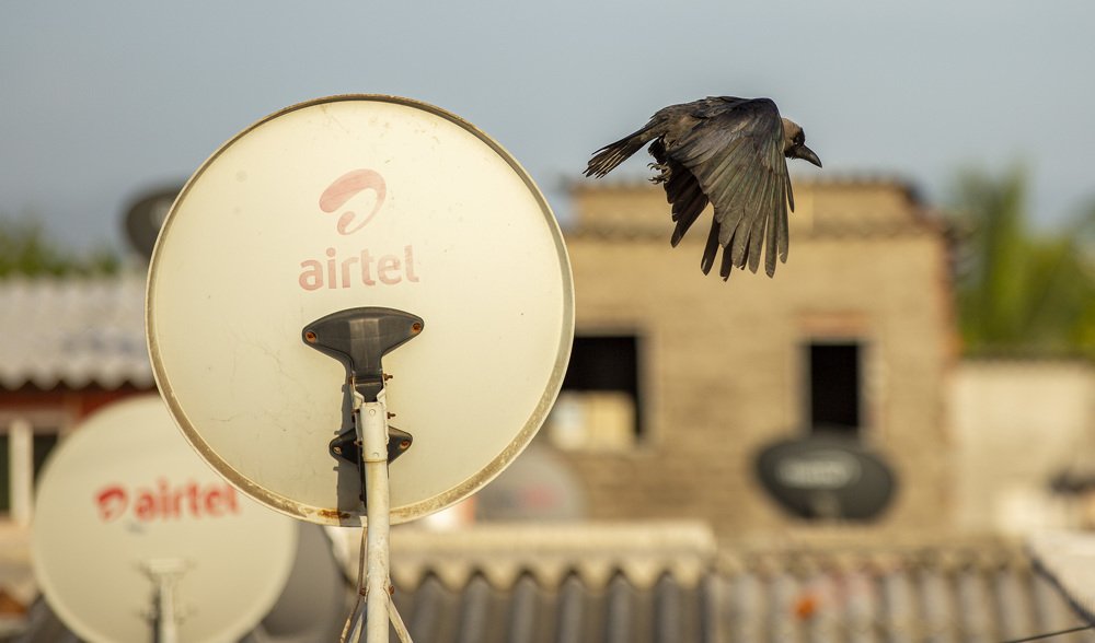 Photograph by Sachin Kurup