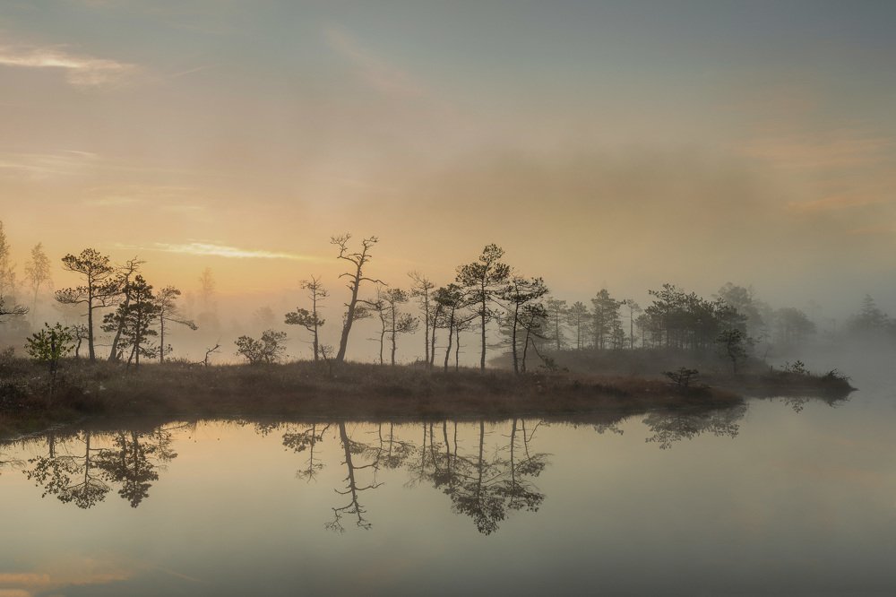 Kemeri national park at sunrise, Latvia.