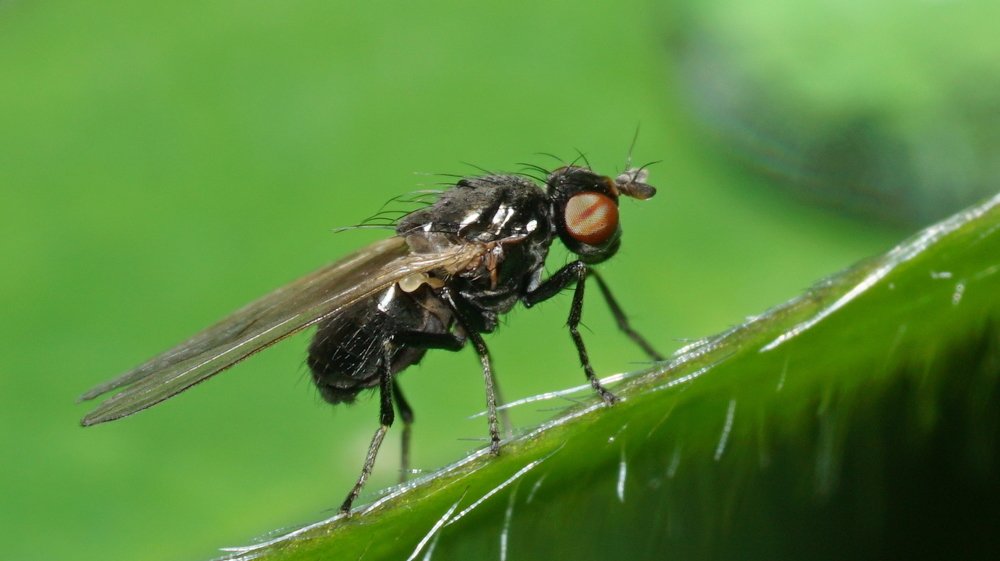 Photograph by Андрей Шартов