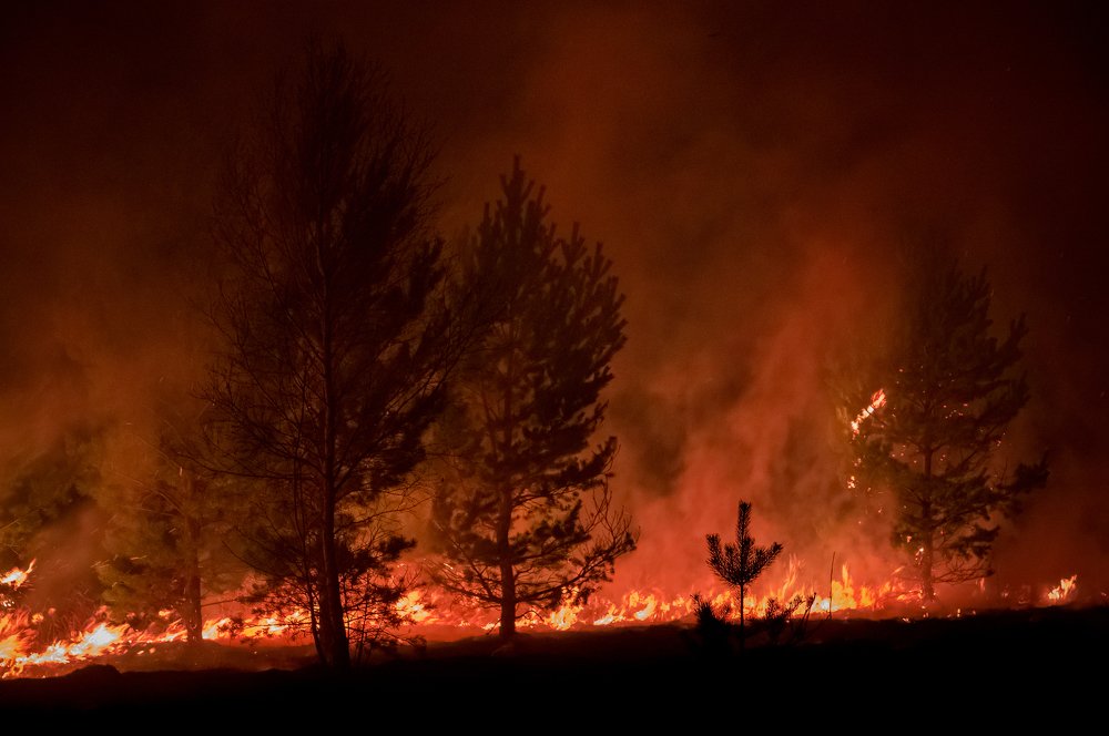 Photograph by Сергей Пашнов