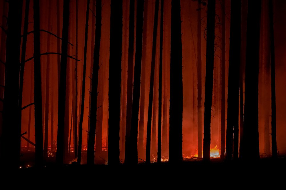 Photograph by Сергей Пашнов