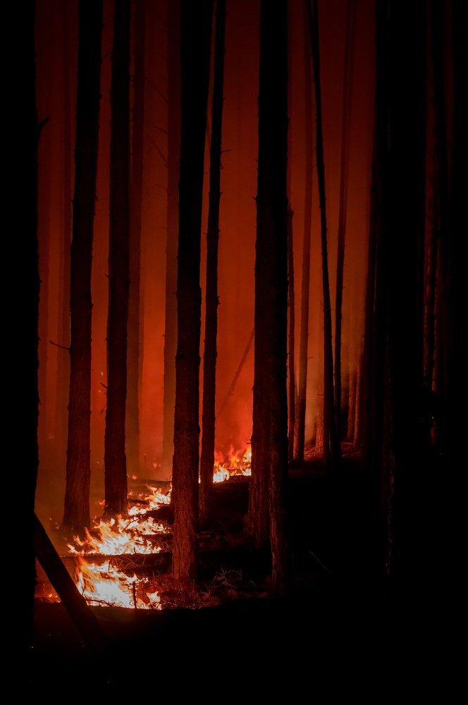 Photograph by Сергей Пашнов