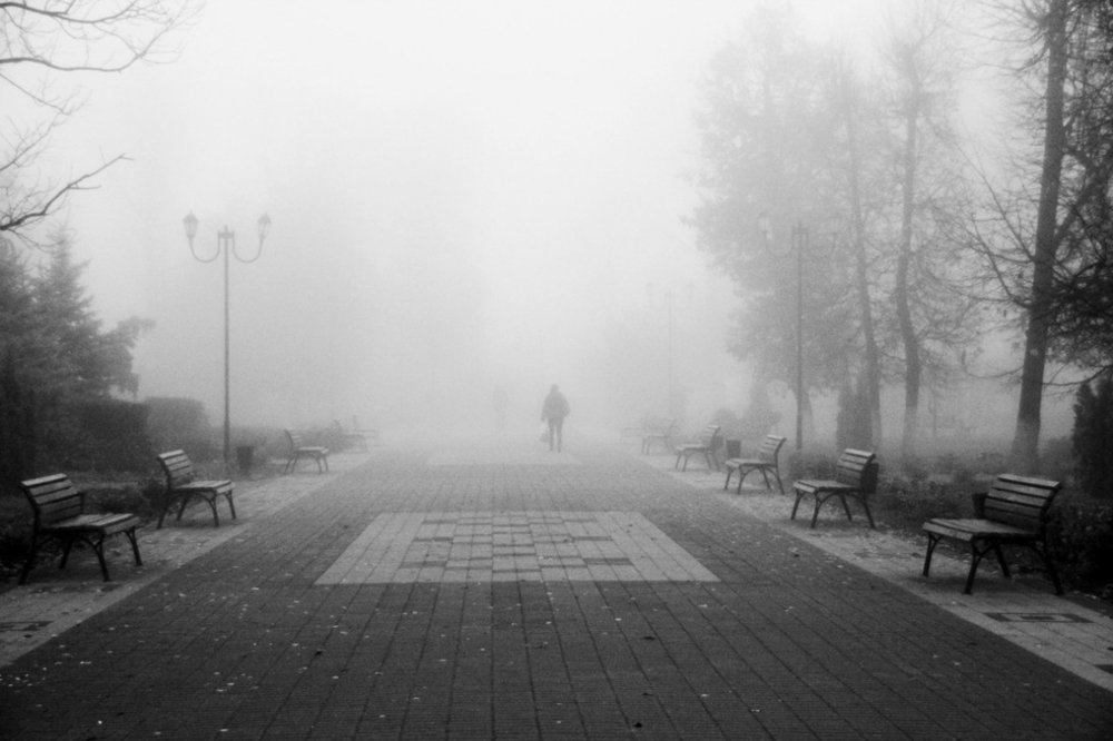 Photograph by Александр Карасев