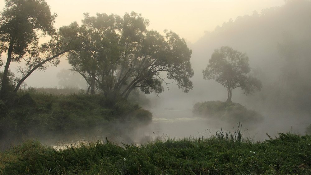 Photograph by Суетинов Евгений