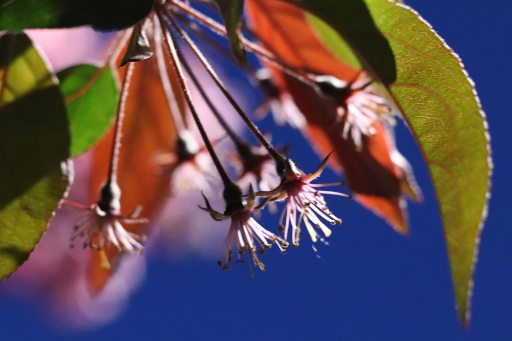 Photograph by Ирина Мироненко