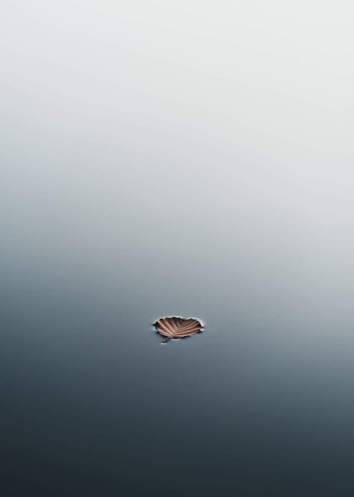 Фотография автора Msizi Nkosi