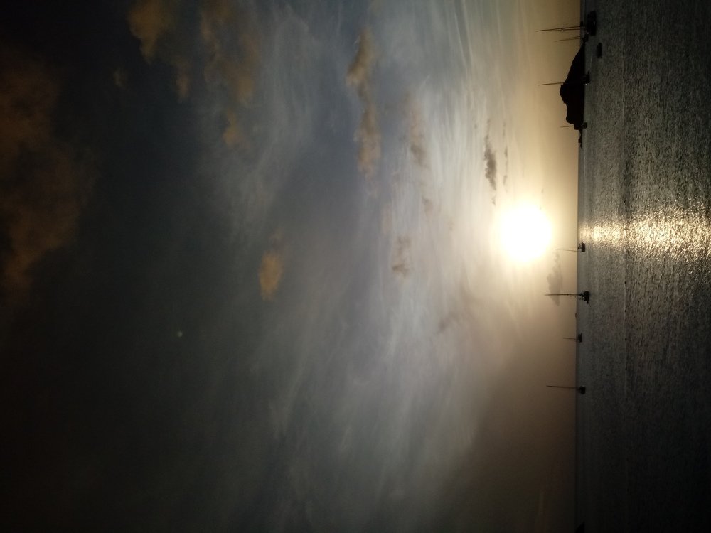 Photo #4658144