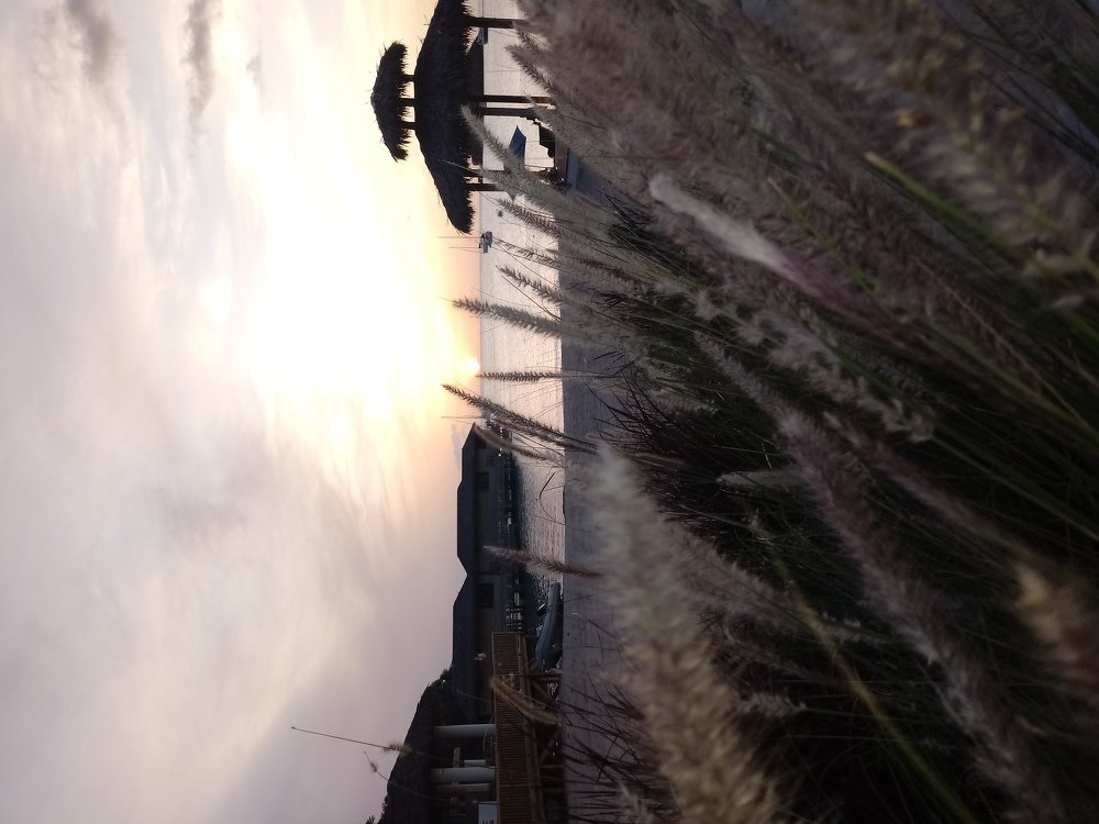 Photo #4658145
