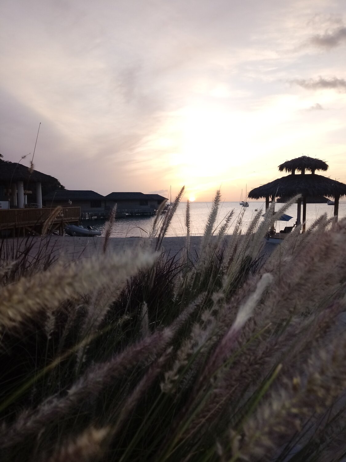 Photo #4658145