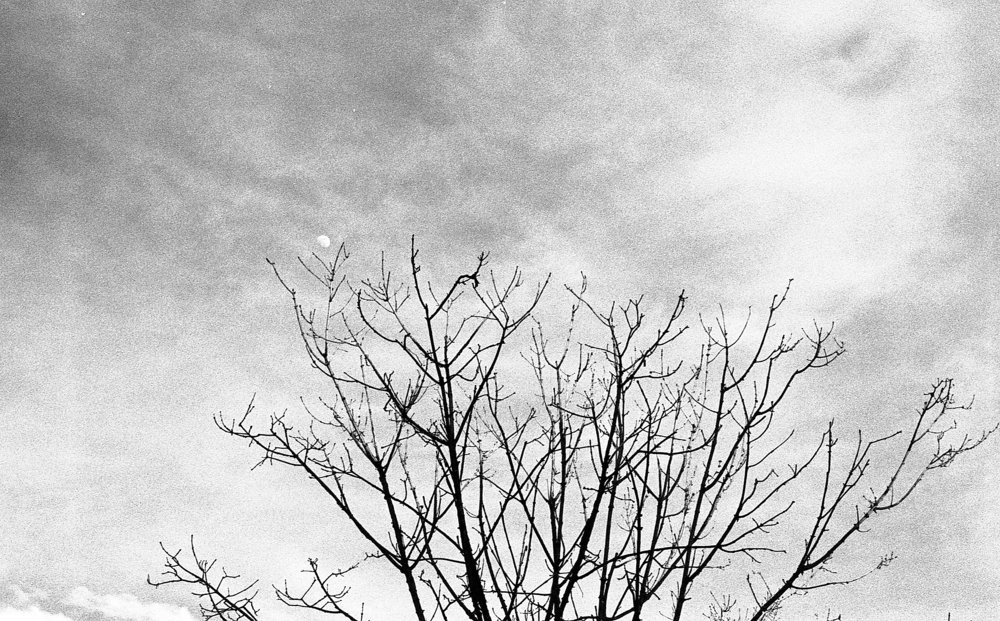 Photograph by Milton Fernando Gonzalez Parra