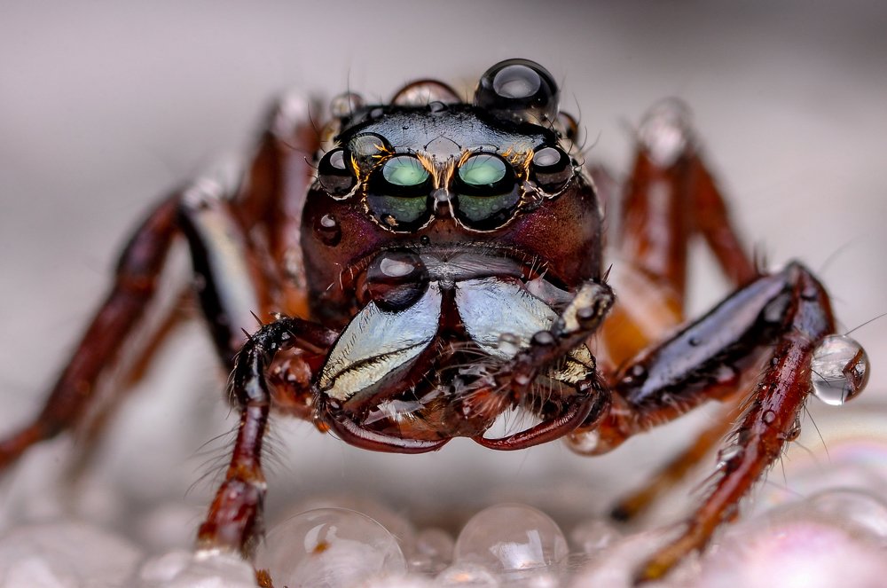 Photograph by Sidney Po