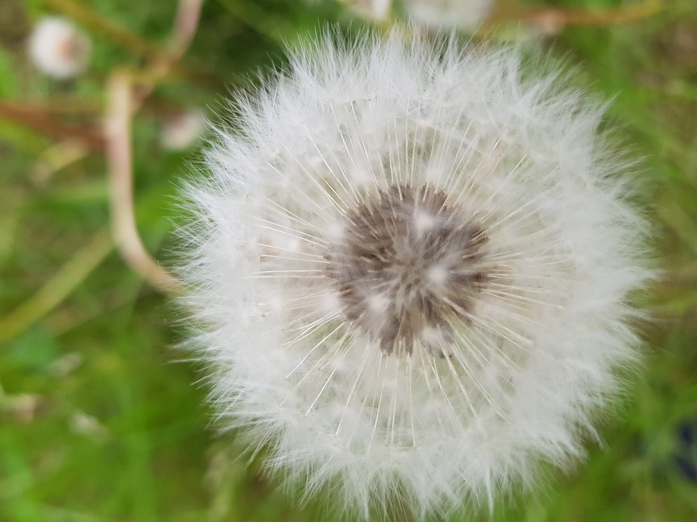 Photograph by Александра Пухкалова