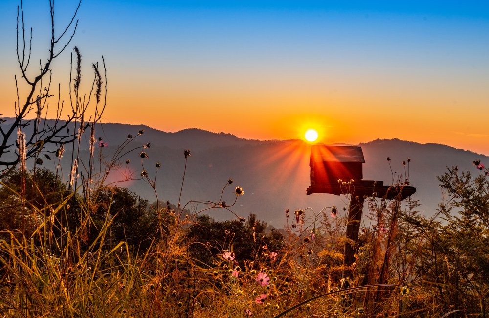 Photograph by Neeresh Kumar