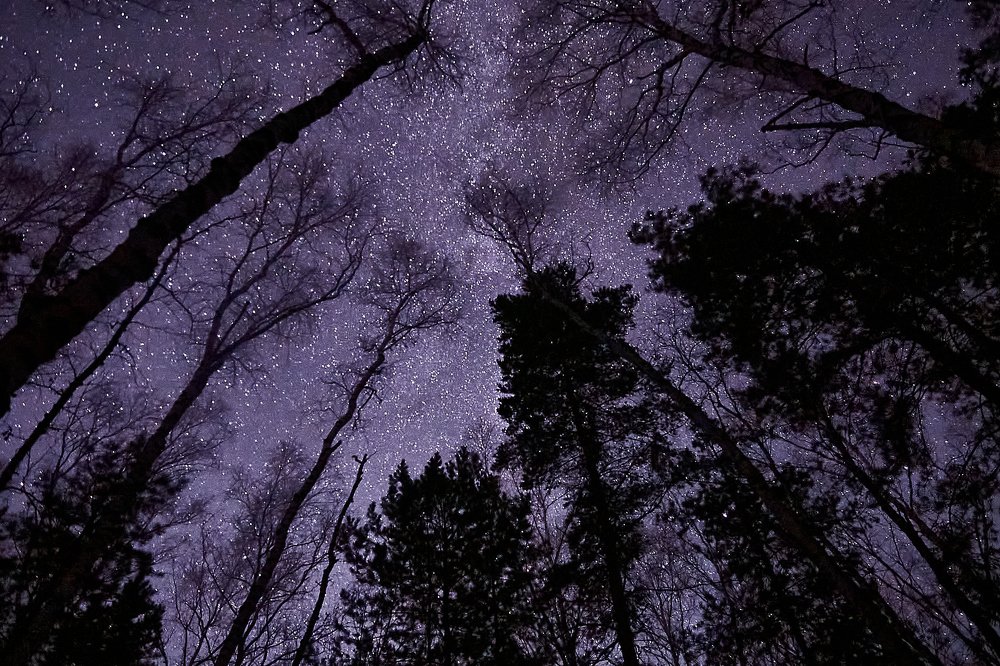 Фотография автора Игорь Игоревич