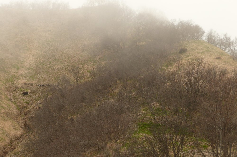 Photograph by Анна