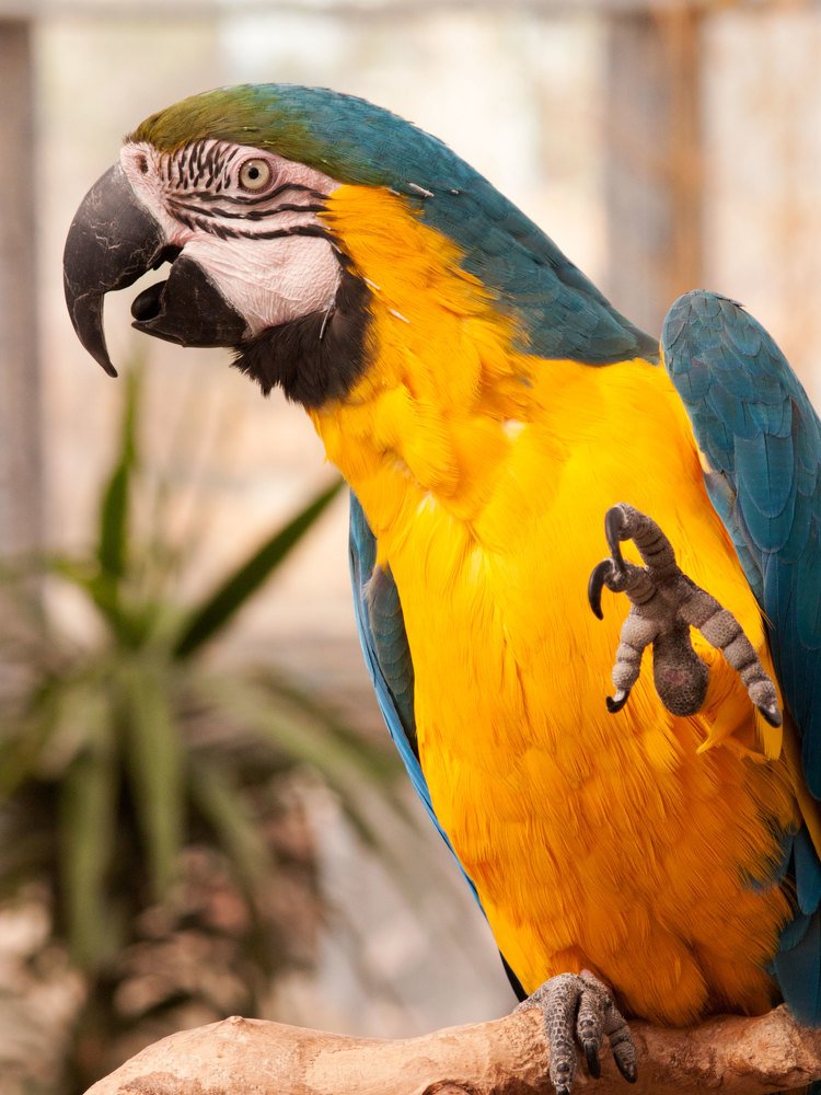 Photograph by Abdolreza Aleagha