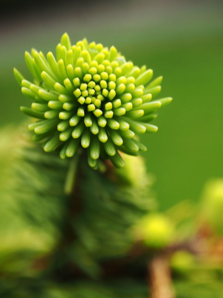 Photograph by Abdolreza Aleagha