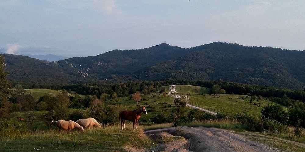 Photograph by Елена Харитонова