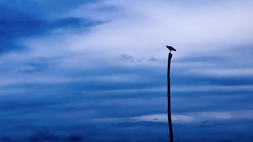 Photograph by Inti Llamas