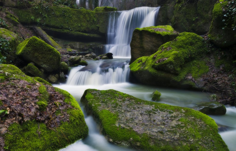 Photograph by Антон Литвин