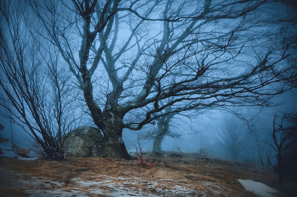 Царство Берендея