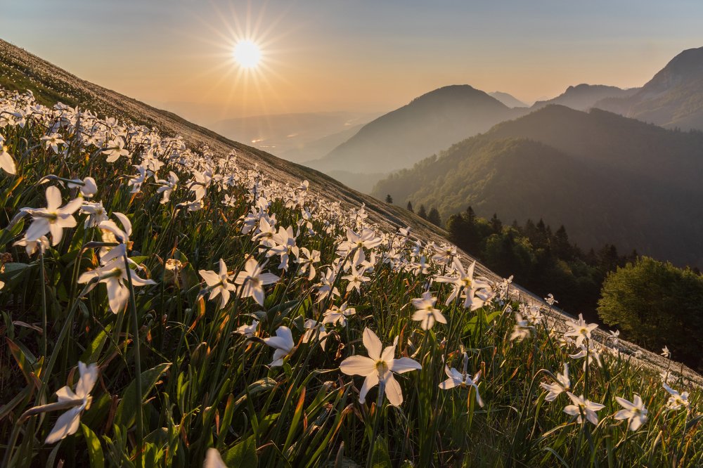 Photograph by Bor Rojnik