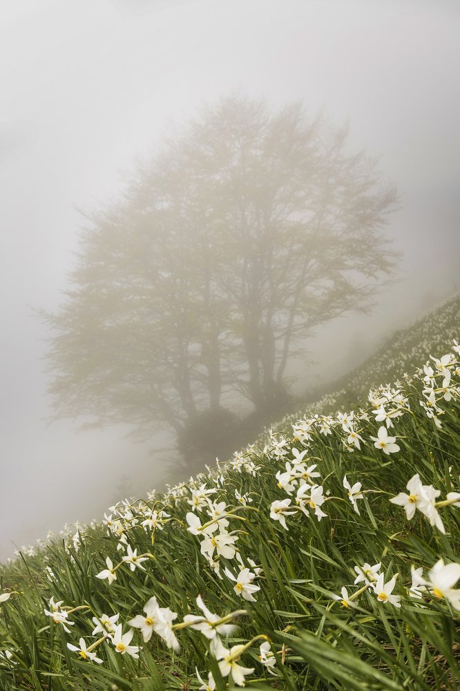 Photograph by Bor Rojnik