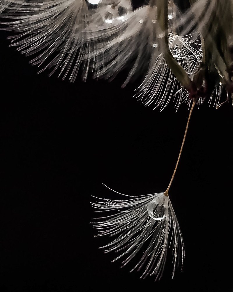 Photograph by Наталья Урусова