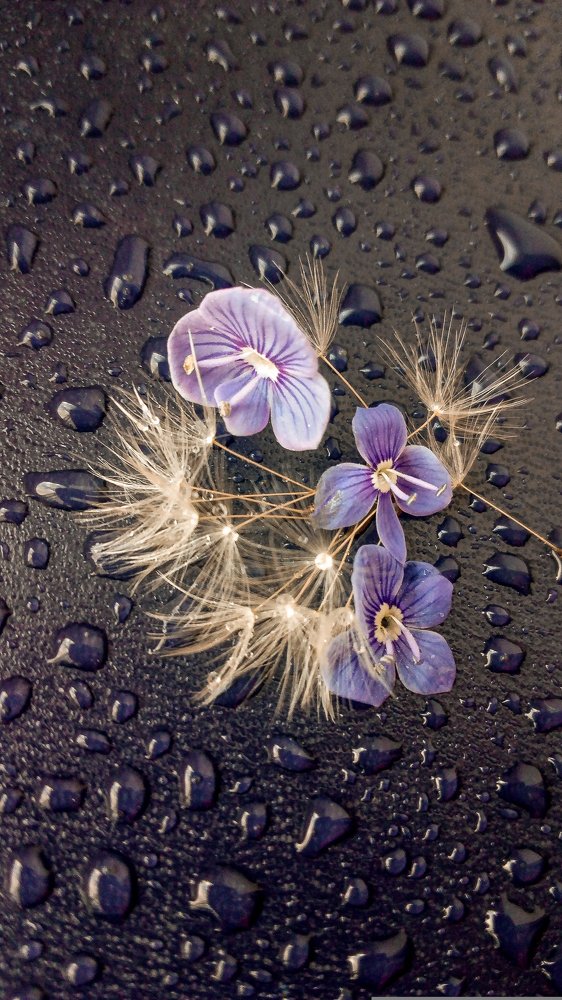 Photograph by Наталья Урусова